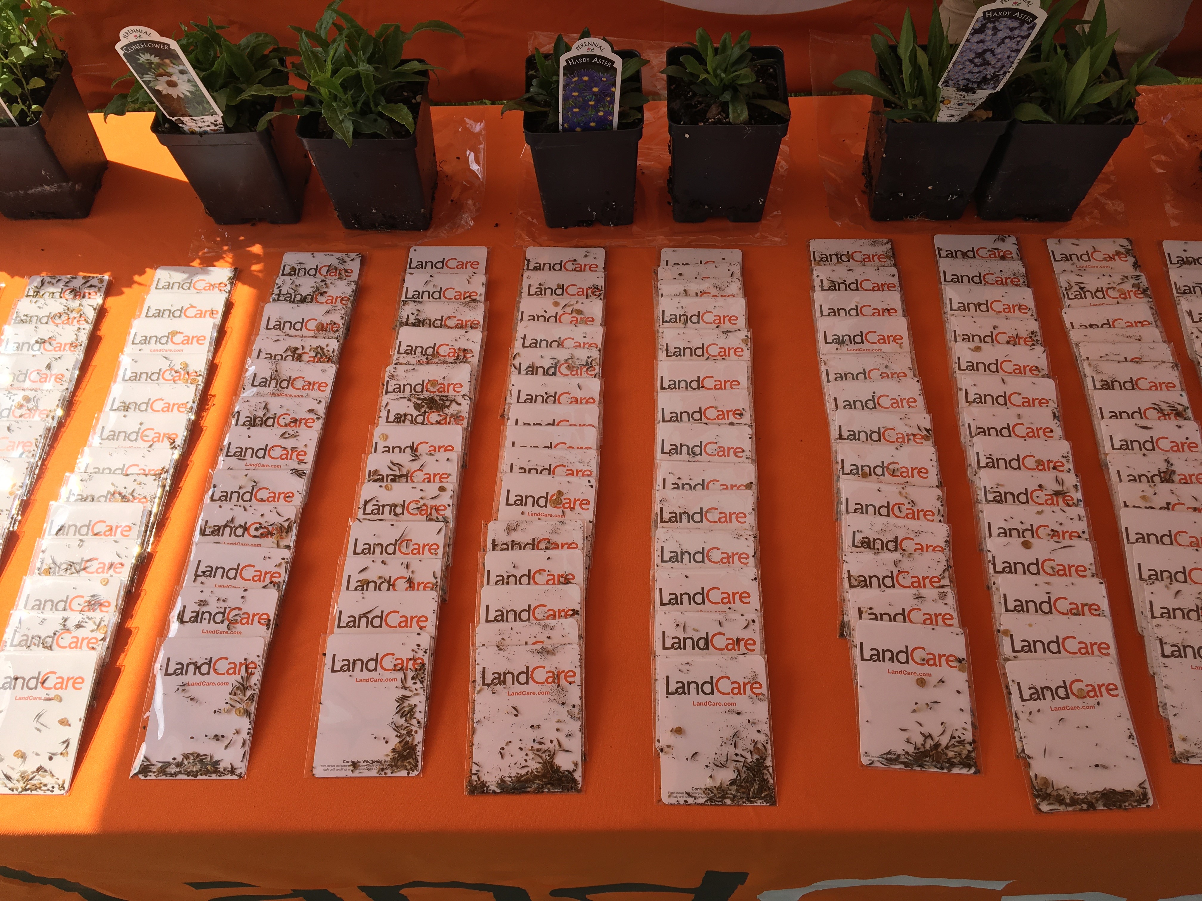 Celebrating Earth Day Around the Country