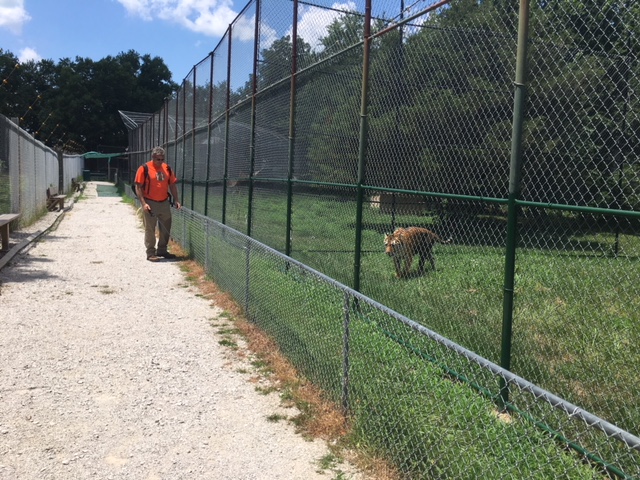 Big Cats in KC: new branch takes on CommunityCare