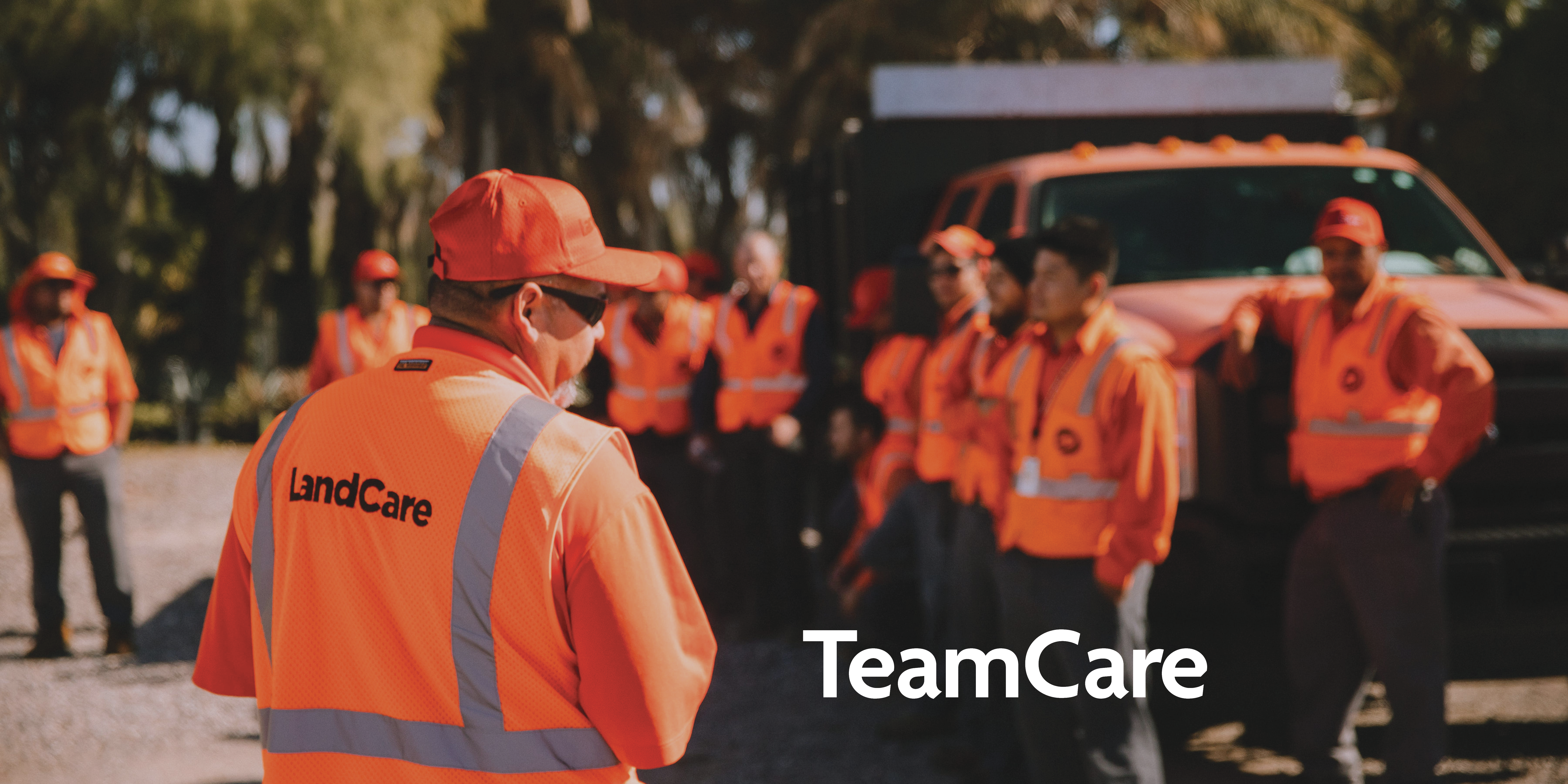 teamcare white