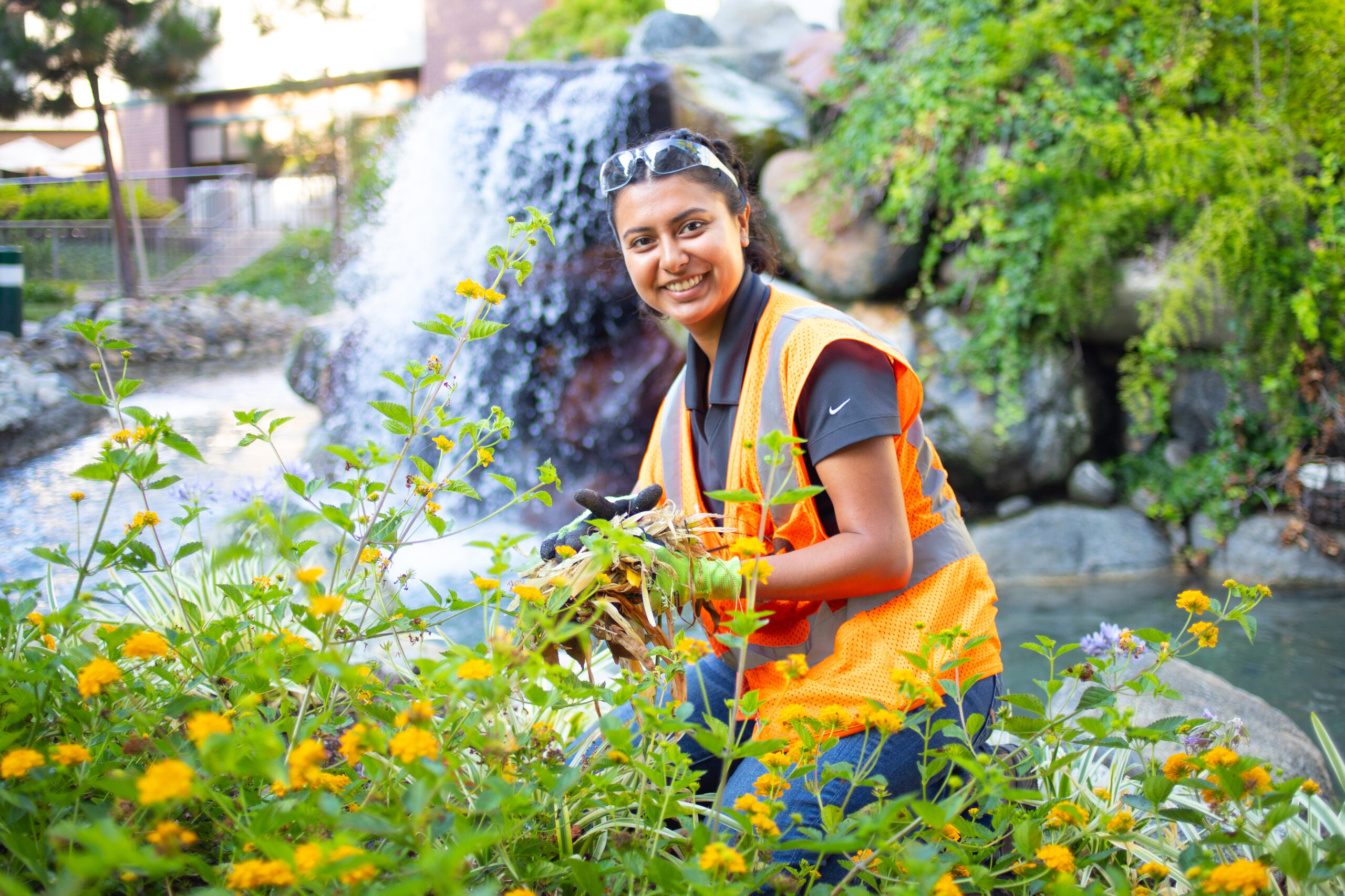 Cultivating Culture & Business Growth at LandCare